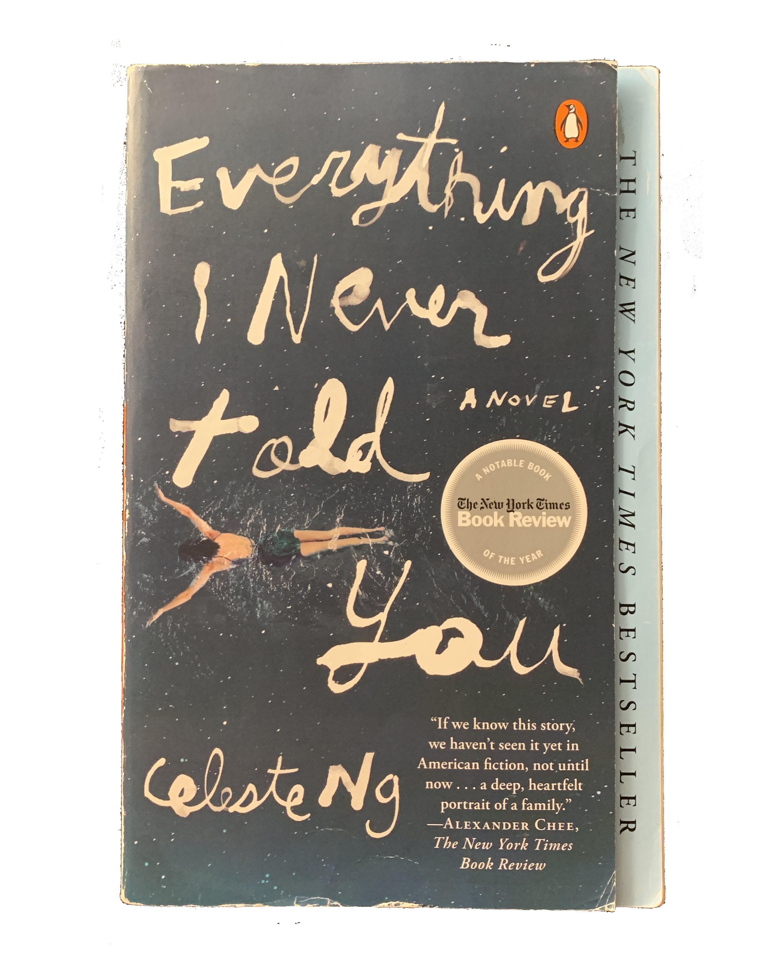 cover of Everything I Never Told You