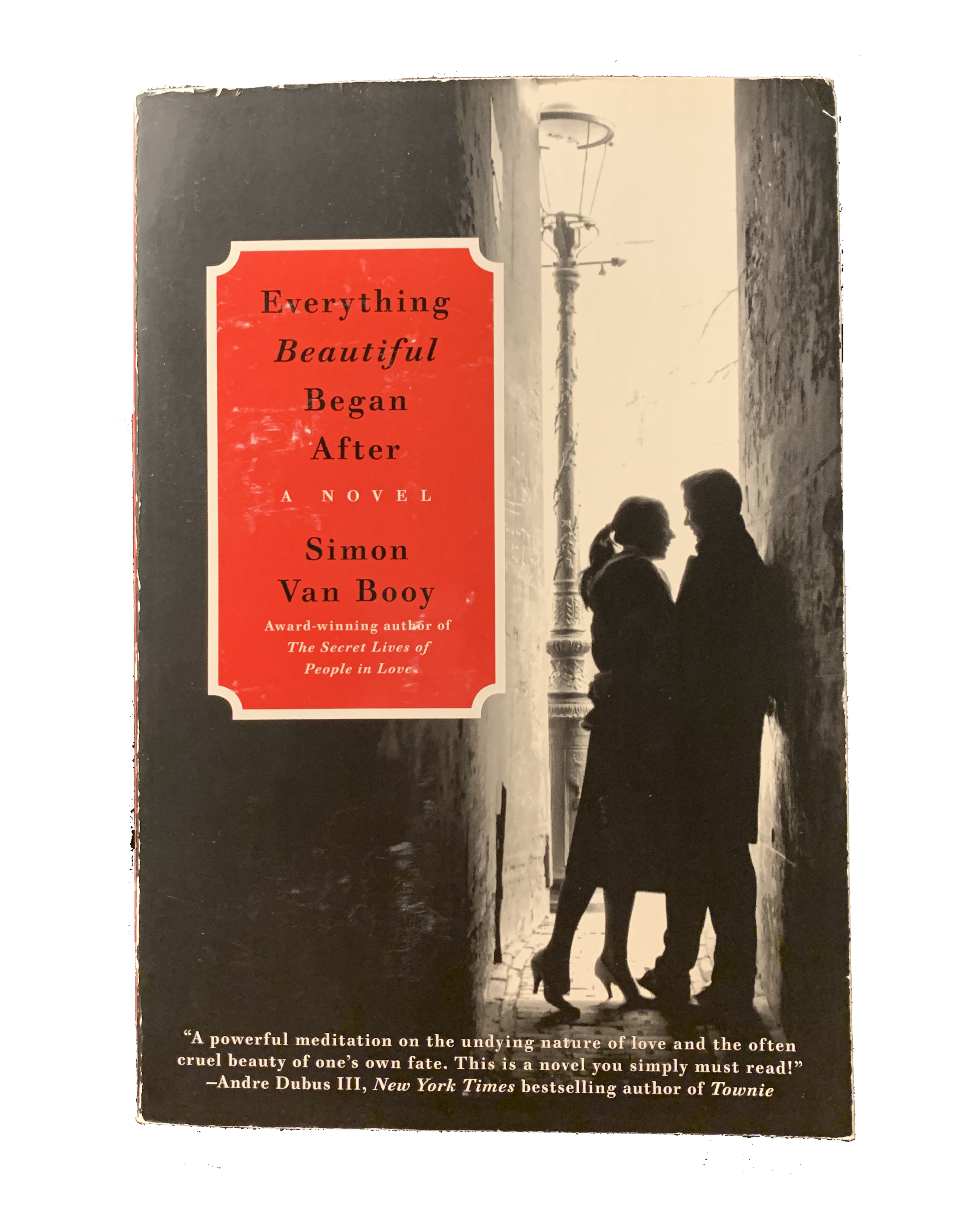 cover of Everything Beautiful Began After